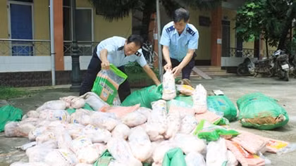 Thu giữ gần nửa tấn thịt vịt đông lạnh nhập lậu đang trên đường đến nhà hàng