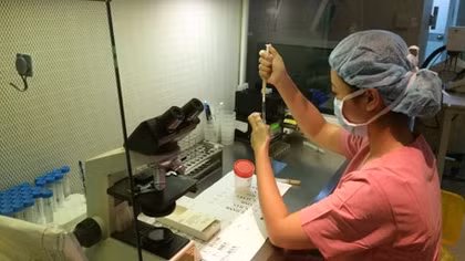 Hai ca mang thai hộ thành công đầu tiên