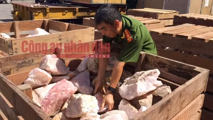 Khởi tố 4 vụ án buôn lậu hàng tấn ngà voi, sừng tê giác
