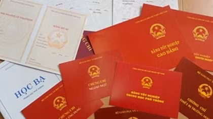 Trưởng Ban tổ chức Thành ủy bị kỷ luật cảnh cáo do mượn bằng tốt nghiệp