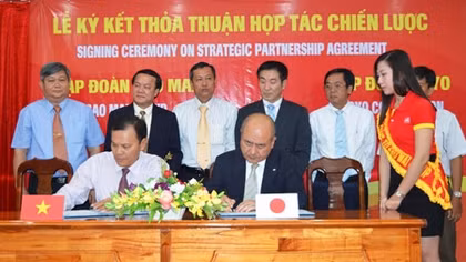 Tầm nhìn Sao Mai