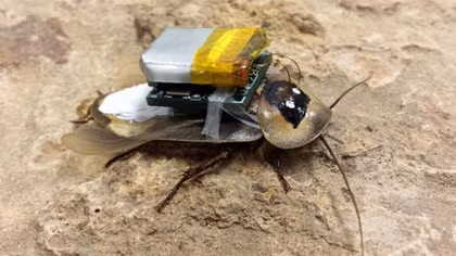 Bộ trưởng GD-KH Nga kêu gọi sản xuất nhiều robot siêu nhỏ phục vụ dân sinh