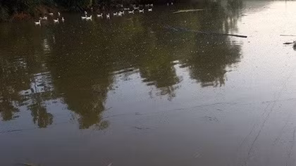 Nam thanh niên chết dưới ao là do ngạt nước