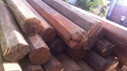 5,5m3 gỗ lậu quý hiếm trong nhà nguyên bí thư huyện