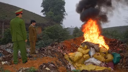 Yên Bái tiến hành tiêu hủy 4.330 kg tấn xương động vật hôi thối
