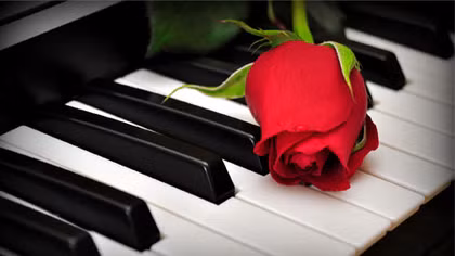 Mùa xuân của Trí