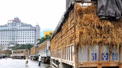 Doanh nghiệp Việt vẫn bị thua thiệt, ép giá trong thương mại biên giới