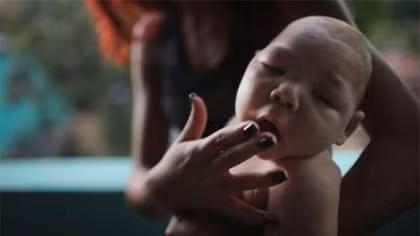 Quân đội Brazil tham gia chống đại dịch Zika