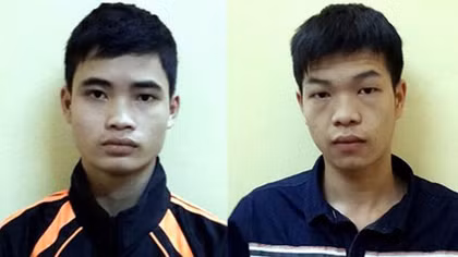 Tội ác từ vụ trộm cá cảnh