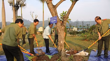 Thứ trưởng Nguyễn Văn Thành kiểm tra công tác tại Hòa Bình 