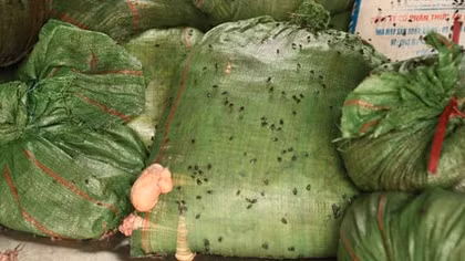 Thu giữ 4 tạ mỡ động vật ruồi bâu đen kịt