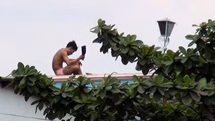 Họa… ngáo đá!