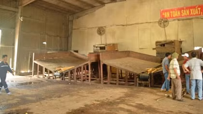 Tử vong trong khi bốc vác gỗ