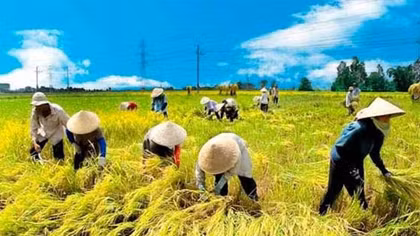 Đồng bằng Bắc Bộ có thể bị sụt lún nghiêm trọng