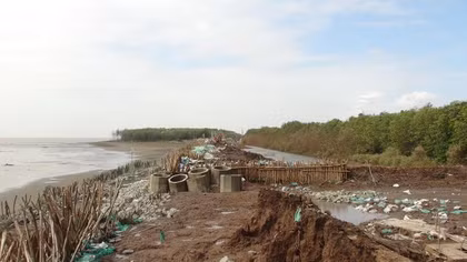 Đê biển lại vỡ do triều cường