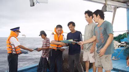 Những trái tim của biển