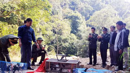 Thả 113 con chim yểng về rừng Yên Tử 