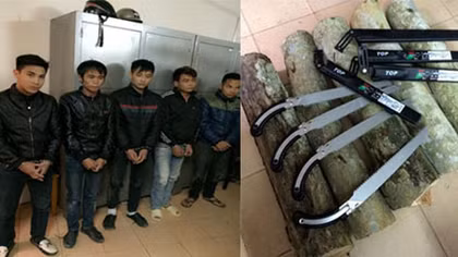 Thuê taxi đi cưa trộm cây sưa