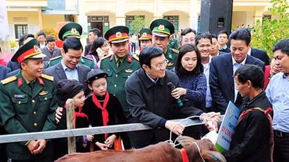 Chủ tịch nước tặng 50 con bò giống cho hộ nghèo tỉnh Hà Giang