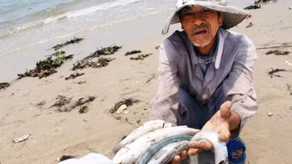 "Thảm án" trên biển miền Trung: Đau dưới biển xót trên bờ