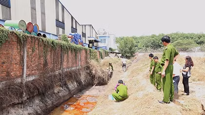 Công ty chế biến mật ong xả thải ra môi trường 