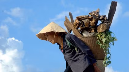Lê Ngọc Minh: Tiếng vọng Biển – Rừng