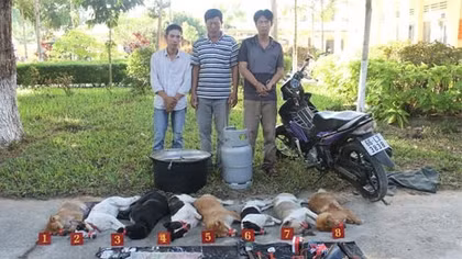 Bắt “cẩu tặc” bắn xung điện trộm 8 con chó trong đêm