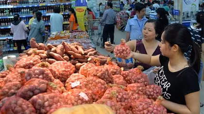 Hơn 100 tấn hành tím Vĩnh Châu đã được bao tiêu