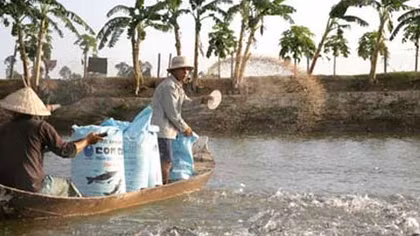 Giám sát chặt dư lượng các chất độc hại trong thủy sản nuôi