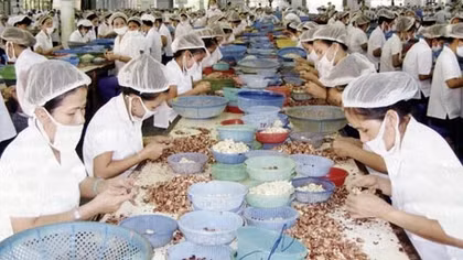 Cuộc mưu sinh “làm khó”… tình mẫu tử 