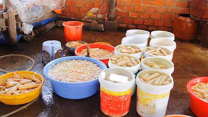 15 tấn măng “ngâm” chất lạ ở Đà Lạt