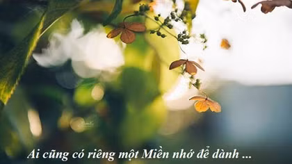 Miền nhớ lặng thinh...