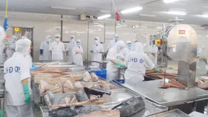 Họp Hội đồng Giám Đốc Trung tâm phát triển nghề cá Đông Nam Á lần thứ 48