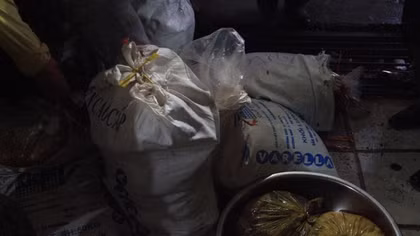 Phát hiện 250 kg nội tạng động vật không rõ nguồn gốc