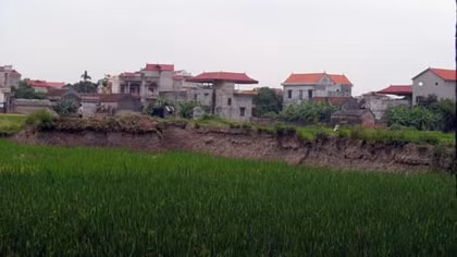 Thành cổ Luy Lâu: Khai quật chậm chạp, bảo tồn gặp khó