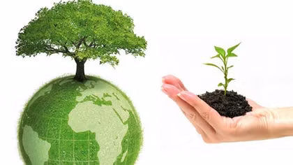 Chính thức xét tặng giải thưởng Môi trường năm 2015