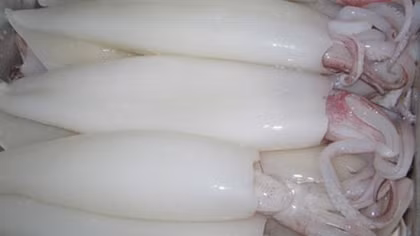 Chưa phát hiện việc tẩy trắng mực bằng oxy già