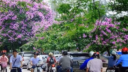 Nắng nóng dịu dần ở Bắc Bộ