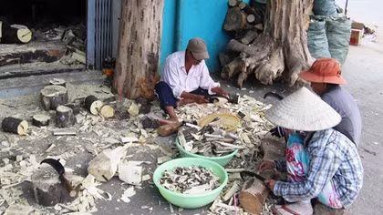 Nỗ lực phát triển nghề trầm Tiên Phước