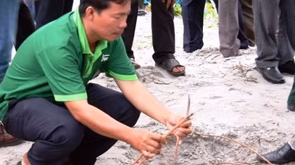 Những hành vi tàn độc, vô lương tâm đã xúc phạm vong linh các liệt sỹ