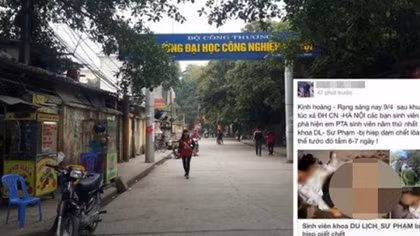 Tung tin ảo – ‘Chết’ vì nghịch dại