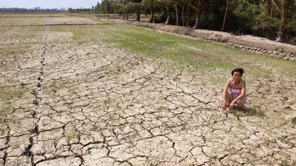 139.000 ha lúa thiệt hại, nửa triệu người thiếu nước sinh hoạt