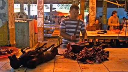 Một góc kinh dị trong chợ Tomohon ở Indonesia 