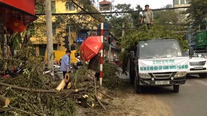 Trân trọng ý kiến người dân vì một Hà Nội xanh