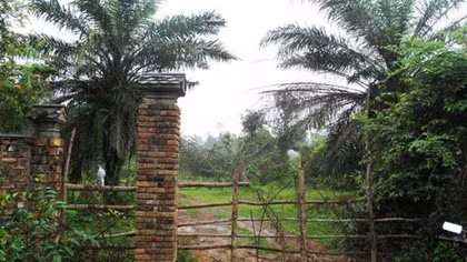 ‘Bảo tàng chiến tranh’ Vực Quành kêu cứu