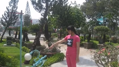 Sẽ làm rõ trách nhiệm vụ cháu bé 10 tuổi bị điện giật chết