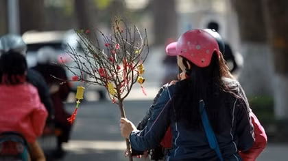 Hà Nội tĩnh lặng trong nắng chiều cuối năm