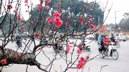 Từ mùng 3 Tết: Bắc Bộ nhiều mây, trời ấm dần 