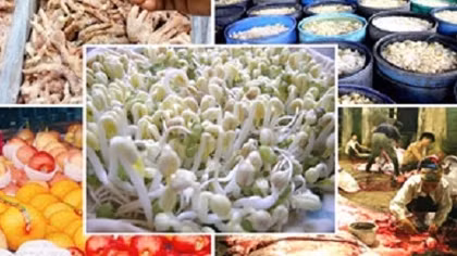 Ngăn chặn thực phẩm “bẩn” phải cộng đồng trách nhiệm ở mức cao nhất