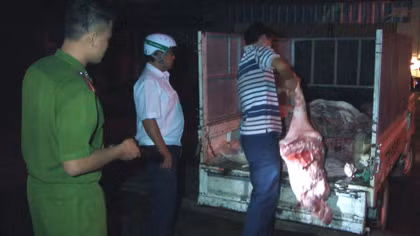 Hơn 1.400 kg thịt heo bẩn đang trên đường ra chợ thì bị "tóm"